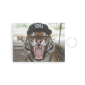 Tiger Fan Card Holder